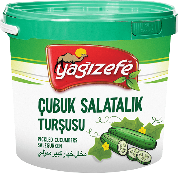ÇUBUK SALATALIK TURŞU NO : 2