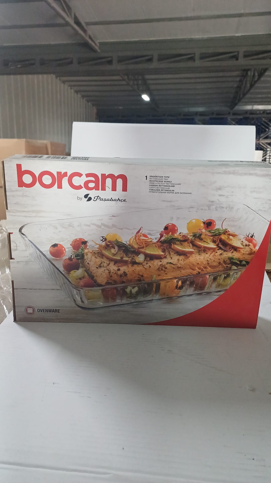 PAŞABAHÇE DİKTÖRTGEN BORCAM